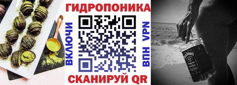 Canna-Cookies конопля купить наркотики сайты OMG зеркало Новодвинск