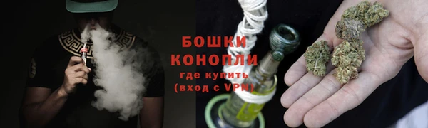 PSILOCYBIN Бронницы