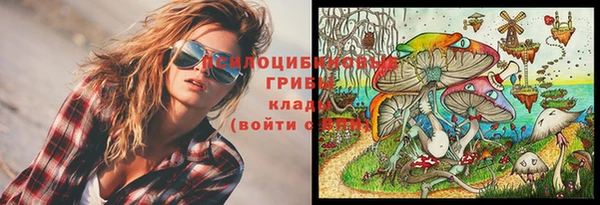 альфа пвп Бородино
