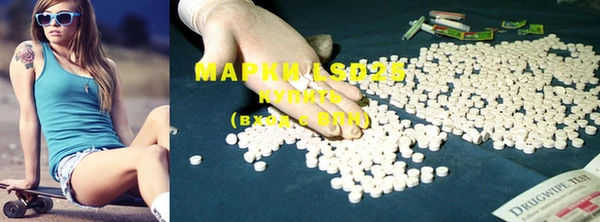 PSILOCYBIN Бронницы