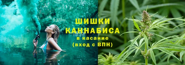 PSILOCYBIN Бронницы